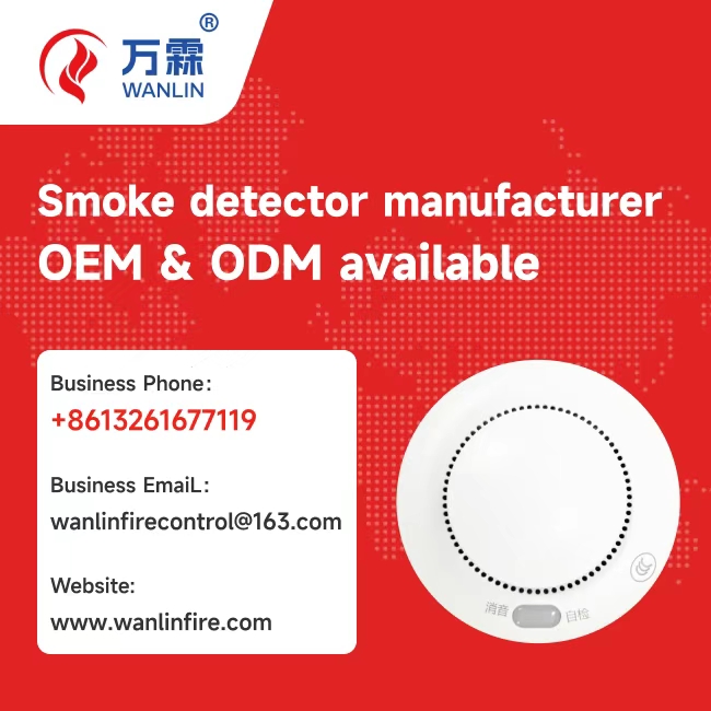 Building a smoke test tool training available Brand from China: A Comprehensive Export Case Study fo